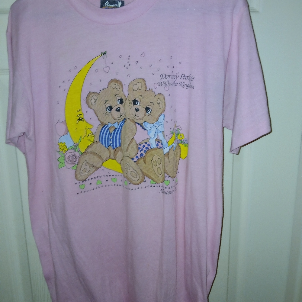 Dorney Park T-shirt Vintage T-shirt Large